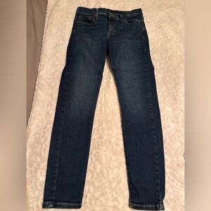 Banana Republic Dark Blue Skinny Jeans 27/4 Petite